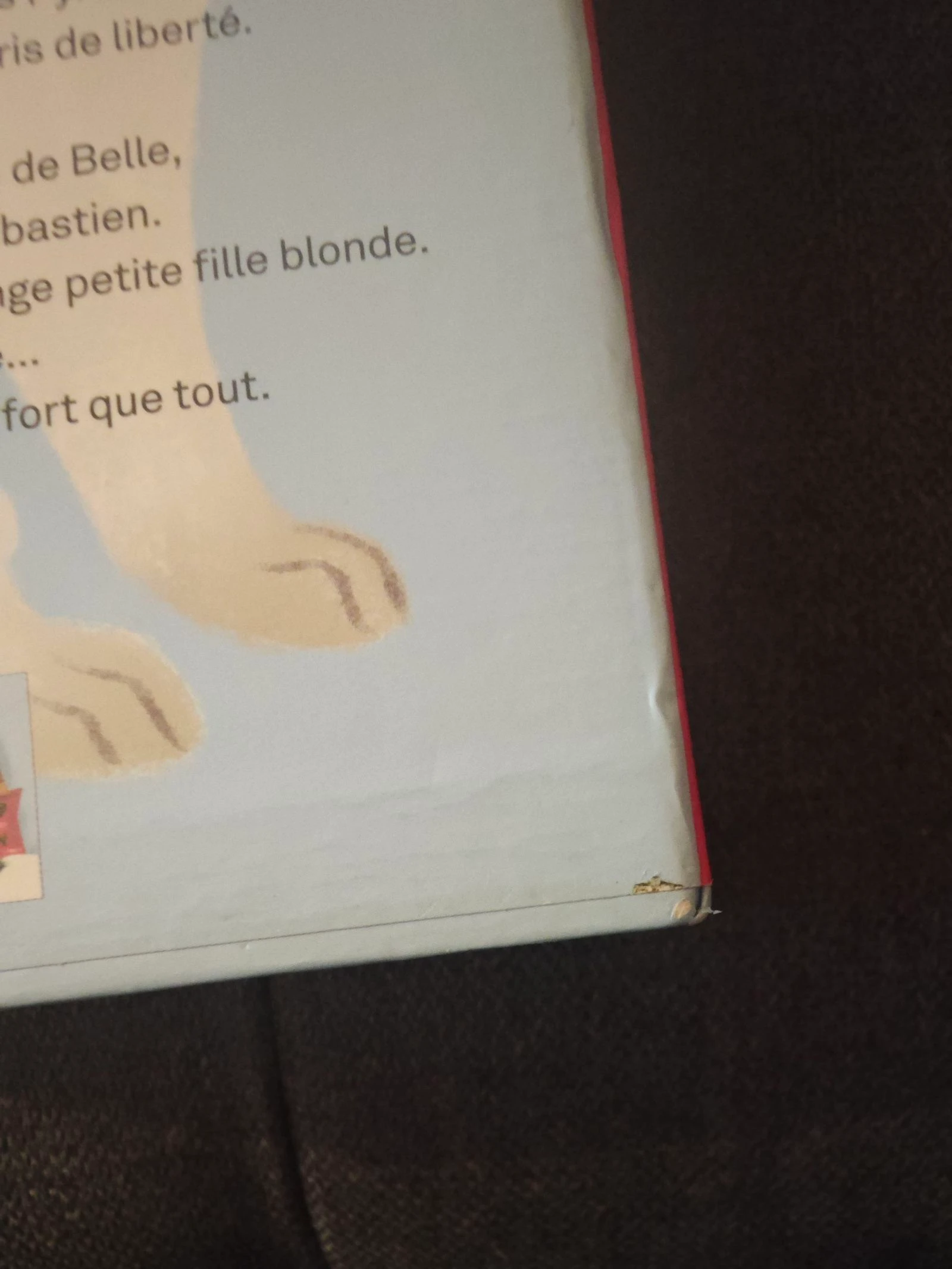 Coffret Belle et Sébastien – photo 4